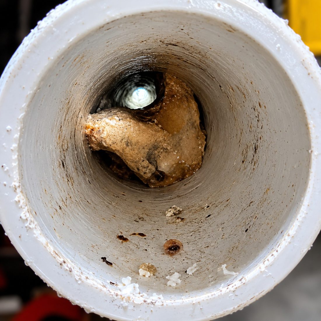 Buddy’s Plumbing — job in Houston & Texas City